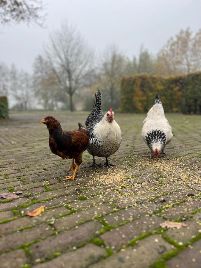 De Appelhoeve Terschuur Экстерьер фото
